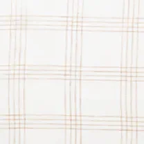 Color Swatch