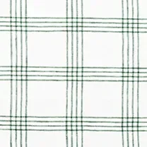 Color Swatch