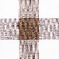 Color Swatch